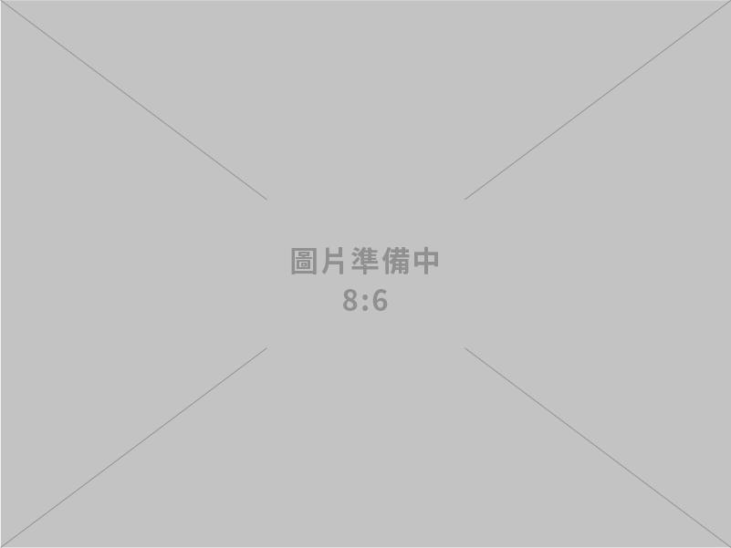 風險評估、整體安全規劃。隨扈人員人力規劃與派遣